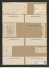 Coscinodiscus radiatus Ehr. (de-Toni-Nr.: Genus 202, Species 4972) Zeichnungen Sammlung Grunow Nr. 8574 (NHMW-BOT-W0378222)